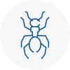 Ant Removals In Morden