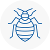 Bed Bug Extermination In Morden