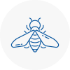 Bee Nest Removal Morden
