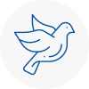 Bird Prevention Morden