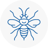 Morden Hornet Nest Removals