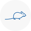 Mice Exterminators In Morden