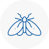 Moth Control Specialists In Morden