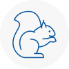 Morden Rodent Removals
