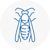 Morden Wasp Nest Removal